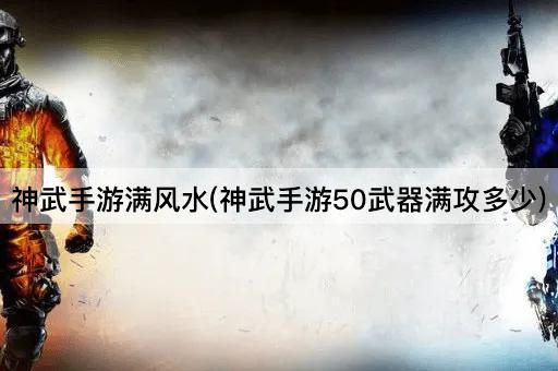 神武手游满风水(神武手游50武器满攻多少)