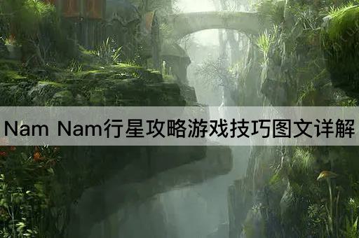 Nam Nam行星攻略游戏技巧图文详解