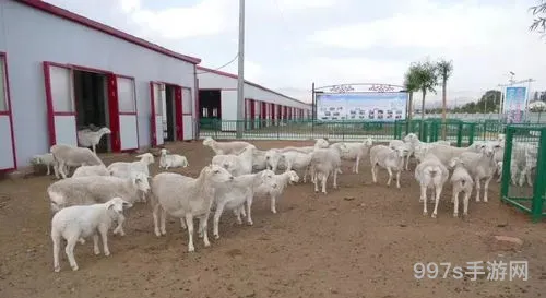 羊了个羊有什么规律(羊了个羊搬砖模式怎么玩)