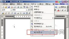 word文档并安装(microsoft word文档)