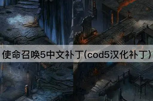 使命召唤5中文补丁(cod5汉化补丁)