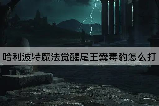 哈利波特魔法觉醒尾王囊毒豹怎么打