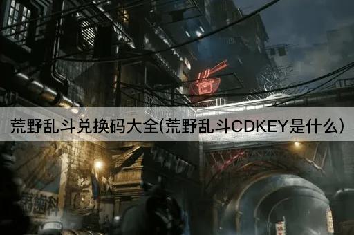 荒野乱斗兑换码大全(荒野乱斗CDKEY是什么)
