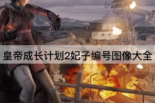 皇帝成长计划2妃子编号图像大全
