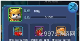 四个方面培养宠物(养宠物的经验)