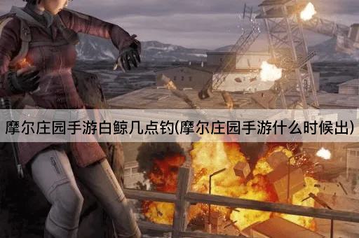 摩尔庄园手游白鲸几点钓(摩尔庄园手游什么时候出)