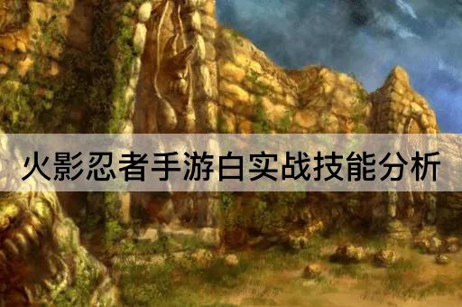 火影忍者手游白实战技能分析
