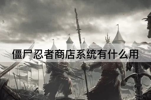 僵尸忍者商店系统有什么用