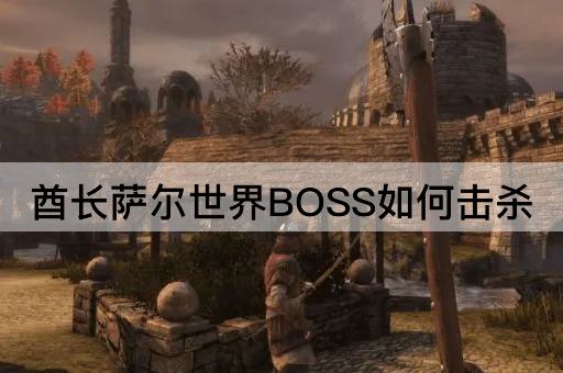 酋长萨尔世界BOSS如何击杀