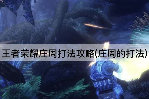 王者荣耀庄周打法攻略(庄周的打法)