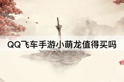QQ飞车手游小萌龙值得买吗