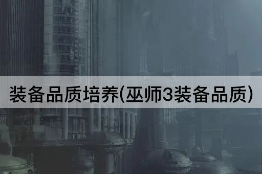 装备品质培养(巫师3装备品质)