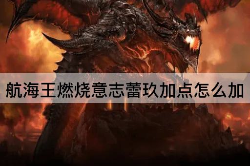 航海王燃烧意志蕾玖加点怎么加