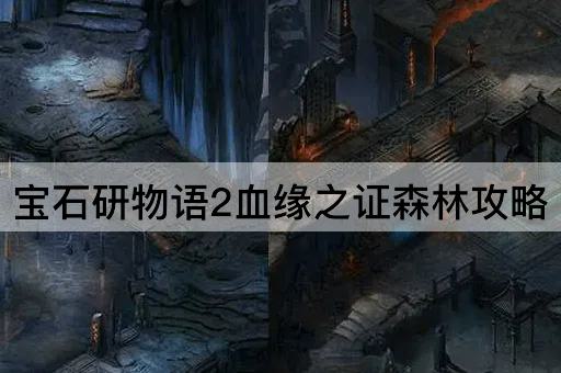 宝石研物语2血缘之证森林攻略