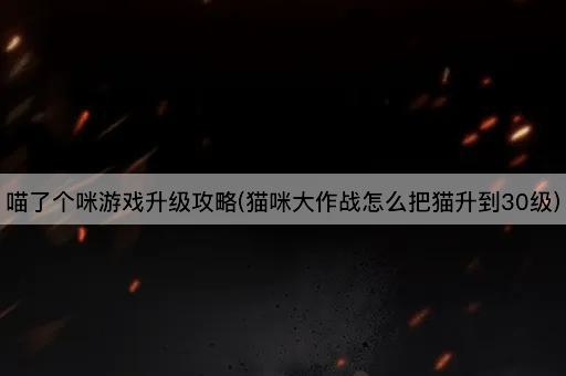 喵了个咪游戏升级攻略(猫咪大作战怎么把猫升到30级)