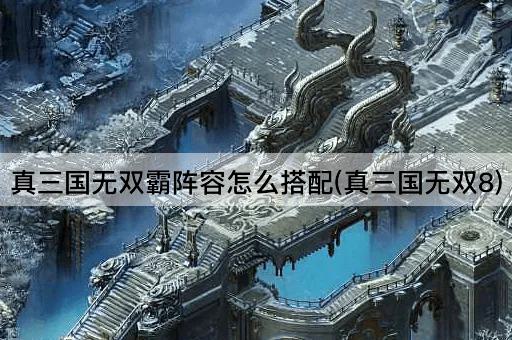 真三国无双霸阵容怎么搭配(真三国无双8)