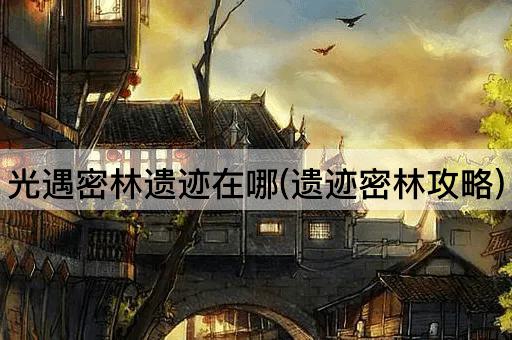 光遇密林遗迹在哪(遗迹密林攻略)