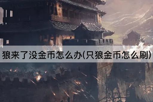 狼来了没金币怎么办(只狼金币怎么刷)