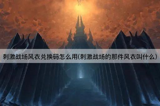 刺激战场风衣兑换码怎么用(刺激战场的那件风衣叫什么)