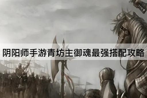 阴阳师手游青坊主御魂最强搭配攻略