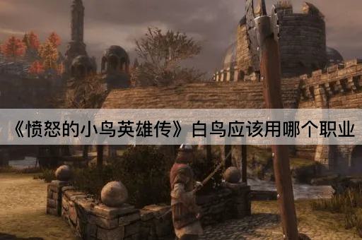 《愤怒的小鸟英雄传》白鸟应该用哪个职业