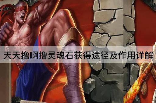 天天撸啊撸灵魂石获得途径及作用详解