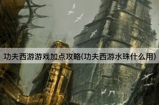 功夫西游游戏加点攻略(功夫西游水珠什么用)