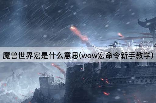 魔兽世界宏是什么意思(wow宏命令新手教学)