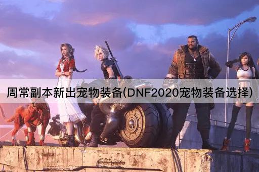 周常副本新出宠物装备(DNF2020宠物装备选择)