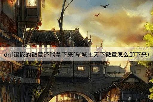 dnf镶嵌的徽章还能拿下来吗(城主天下徽章怎么卸下来)