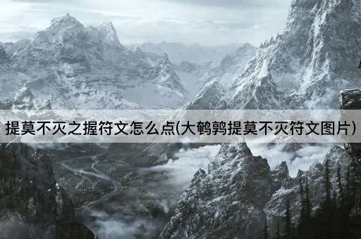 提莫不灭之握符文怎么点(大鹌鹑提莫不灭符文图片)