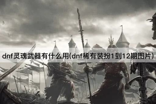 dnf灵魂武器有什么用(dnf稀有装扮1到12期图片)