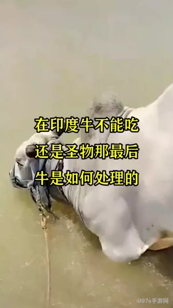 圣物怎么处理(dnf封装的圣物哪里来的)