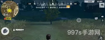 怎么学会玩吃鸡游戏技巧(吃鸡 游戏)