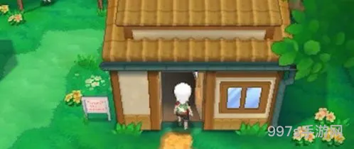 3ds红宝石攻略图文详细(3ds口袋妖怪终极红宝石攻略)
