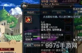 dnf波提斯宠物外观(dnf四个龙女宠物外观对比)
