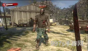 死亡岛1游戏(dead island)