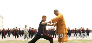 武僧学什么专业(去少林寺当武僧的条件)