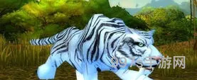 巨龙时代猎人稀有宝宝有哪些(10.0兽王猎人宝宝推荐)