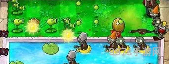 植物大战僵尸网址(pvz原版网页点击即玩)