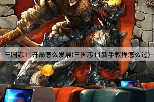三国志11开局怎么发展(三国志11新手教程怎么过)