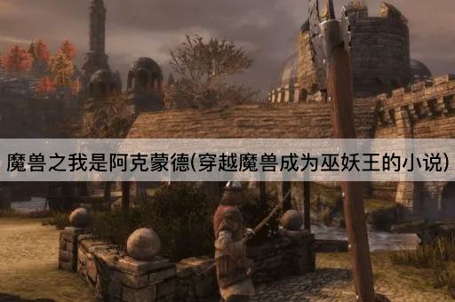 魔兽之我是阿克蒙德(穿越魔兽成为巫妖王的小说)