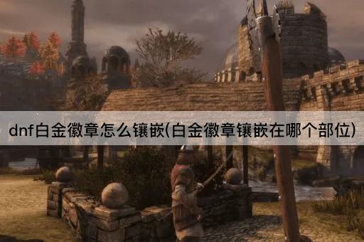 dnf白金徽章怎么镶嵌(白金徽章镶嵌在哪个部位)
