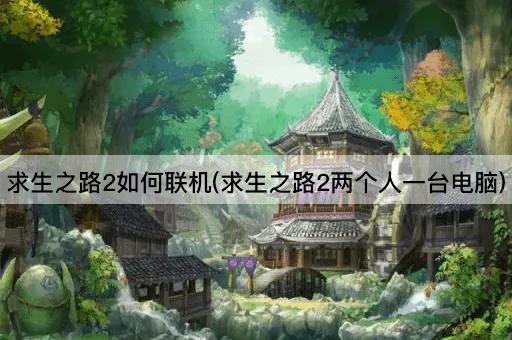 求生之路2如何联机(求生之路2两个人一台电脑)