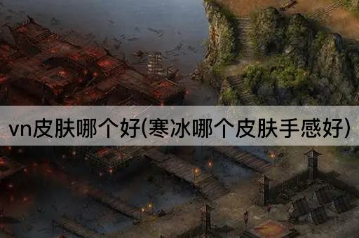 vn皮肤哪个好(寒冰哪个皮肤手感好)