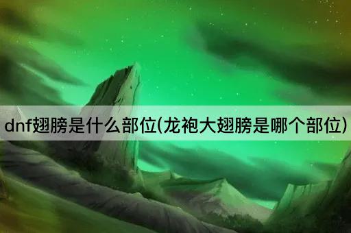 dnf翅膀是什么部位(龙袍大翅膀是哪个部位)