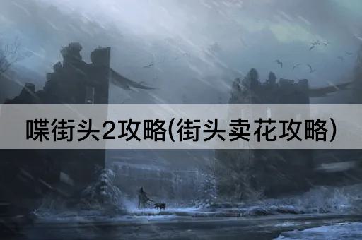 喋街头2攻略(街头卖花攻略)