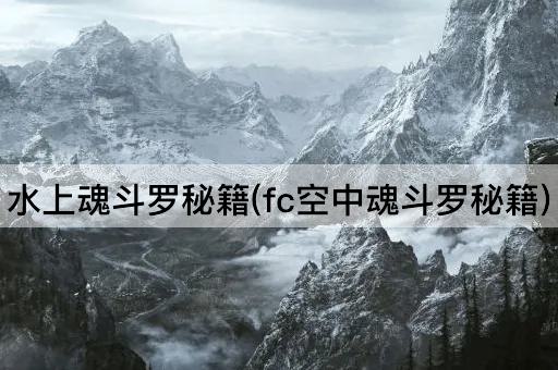 水上魂斗罗秘籍(fc空中魂斗罗秘籍)