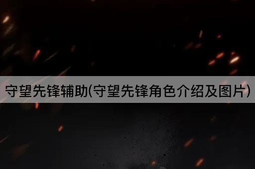 守望先锋辅助(守望先锋角色介绍及图片)
