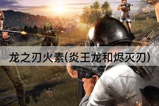 龙之刃火素(炎王龙和烬灭刃)